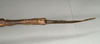 CollectionObject 1561157; 6525acf0-ecc8-4498-beeb-e2ae5001894c: copyright MIZ. female: end of abdomen, dorsal view (lectotype). (CollectionObject).