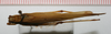CollectionObject 1530922; NTUC 614, 2ffb84bf-87fd-4ac6-8d5c-d378782476b6: copyright NTUC. female, dorsal view (holotype). (CollectionObject).