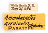 CollectionObject 1578266; 8313ae78-39ed-4731-af94-418b85fd9de4: labels (paratype). (CollectionObject).