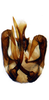 Aedeagus, ventral view: Aedeagus in caudal aspect.<br>U.S.A., Utah, Washington Co., Snow Canyon State Park, INHS.<br> Photo: S. Krishnankutty. (Observation).