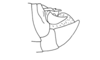 Anablysis pantherina Gerstaecker, 1889: Fig. 26. male abdomen tip, lateral view. (Otu).