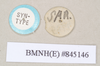 CollectionObject 1560629; 4f1e263e-c78a-4e70-8a15-e4ebcc5b90c0: copyright Natural History Museum, London. male, data labels (paralectotype). (CollectionObject).;CollectionObject 1560630; 81cde4ba-3fde-4f61-9420-4172a1b4f9c5: copyright Natural History Museum, London. male, data labels (paralectotype). (CollectionObject).