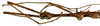 CollectionObject 1578595; RBINS IG: 32700''', 147a4476-5a9d-42bb-87c1-549b689a1865: copyright ISNB, Brussels. male: head & thorax, lateral view (holotype). (CollectionObject).