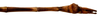 CollectionObject 1567615; 803e8e45-f31c-488d-ae30-c12de440af05: copyright Brussels. male: end of abdomen, ventral view (paratype). (CollectionObject).;CollectionObject 1567616; acf2328f-c402-441c-b28e-e7ca43a45d1d: copyright Brussels. male: end of abdomen, ventral view (paratype). (CollectionObject).;CollectionObject 1567617; 54e7e8da-4583-4543-a2f4-a88723df4de3: copyright Brussels. male: end of abdomen, ventral view (paratype). (CollectionObject).