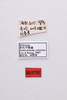 CollectionObject 1543937; 319bb087-5536-4d67-b55d-566379669ea8: labels (holotype). (CollectionObject).