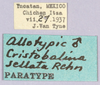 CollectionObject 1499599; 06955f05-2fb3-4a86-89be-745dd73b210f: labels (allotype). (CollectionObject).