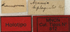 CollectionObject 1506757; 97b50063-313d-41ca-8bcc-95ac81dad82b: labels (holotype). (CollectionObject).