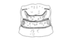 Exerythracris volcanica Rowell, 1995: Fig. 2C. male pronotum, dorsal view. (Otu).