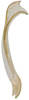 Ovipositor on Arboridia (Arboridia) huajiangensis Jiang, Luo & Song, 2021: valvulae II. (Observation).