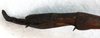 CollectionObject 1563977; cc9ce06e-48d7-4e45-b5d3-7e50a20a0deb: copyright J. Bresseel. female: end of abdomen, lateral view (paratype). (CollectionObject).