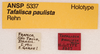 CollectionObject 1522922; f7c11a14-cd10-4a4e-a5c4-e3f487b09250: labels (holotype). (CollectionObject).