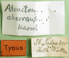 CollectionObject 1501017; bb9bee2c-f423-4a29-895c-62c4107d1df8: labels (holotype). (CollectionObject).