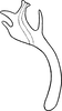 Aedeagus, lateral view on Arboridia (Arboridia) remmi (Vilbaste, 1968): Aedeagus, lateral view. (Observation).