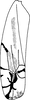 Forewing on Aguriahana youngi Chiang, Hsu & Knight, 1989: Forewing. (Observation).