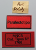 CollectionObject 1578635; bbe6124b-081f-4185-92f2-dd4f9a2e6ecd: male, labels (paralectotype). (CollectionObject).