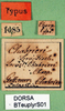 CollectionObject 1502390; 01dc25de-2635-4b3f-a1b9-7117fa125e04: labels. (CollectionObject).