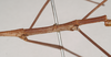 CollectionObject 1557825; 87f9a19e-e234-4e6b-b475-4fa501d1a9d7: copyright Natural History Museum, London. male: metanotum of Chondrostethus woodfordi (syntype). (CollectionObject).;CollectionObject 1557826; 50d4ed4c-0940-4f37-b3fe-450e20f5d380: copyright Natural History Museum, London. male: metanotum of Chondrostethus woodfordi (syntype). (CollectionObject).
