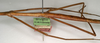 CollectionObject 1559012; NMW 778, 242d9063-55e6-4055-87af-4d4f21709115: copyright NMW, Vienna. female: mid-body / data labels, lateral view (holotype). (CollectionObject).