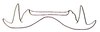 Shelfordites aberrans Karny, 1910: Fig. 64.5 (after Brown 1967). epiphallus. (Otu).