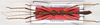CollectionObject 1564085; 778559a9-acc6-492d-9f04-cefe26ea80e8: copyright Philippe Lelong ASPER. male, dorsal view (holotype). (CollectionObject).