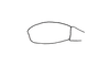 Eucosmetacris festae (Giglio-Tos, 1898): Fig. 9. tip of female maxillar palp. (Otu).