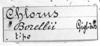 CollectionObject 1543599; 1243244c-fe49-4742-91f4-1970b2fa9f81: Image Carbonell, C.S. label (syntype). (CollectionObject).