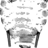 Abdomen, sternal apodemes, ventral view.: Pattern of sclerotization of dorsum abdomen of A. craccivora. (Observation).