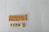 Other: !! display not done !! on Telamonanthe brevis (Ball, 1903): (Observation).