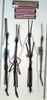 CollectionObject 1557624; 4dbf67ca-a021-4047-b763-5ed00e86a662, NMW 74'': copyright NMW. male (paralectotypes). (CollectionObject).