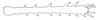 Crypsicerus glaber (Miller, 1932): Fig. 1. right metatibia. (Otu).