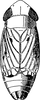 Habitus, dorsal view: !! display not done !! on Psammotettix maritimus (Perris, 1857): Habitus. (Observation).