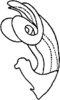 Aedeagus, lateral view on Thailocyba elbeli Mahmood, 1967: Aedeagus, lateral view. (Observation).