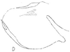 Pygofer, lateral view on Brasilanus flagellaris Linnavuori, 1959: pygofer, median aspect. (Observation).
