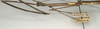 CollectionObject 1559267; 4a3b6abb-b934-428d-9bdf-3f66b818b8fb: copyright NMW, Vienna. male: head and thorax, lateral view of synonym Diardia vicinissima (syntype). (CollectionObject).;CollectionObject 1559268; 9facfce6-b2e4-46c6-844c-3bb688946a45: copyright NMW, Vienna. male: head and thorax, lateral view of synonym Diardia vicinissima (syntype). (CollectionObject).