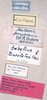 CollectionObject 1534701; c3c8ec24-4a59-4979-ab10-8bb222ed7175: female labels (syntype of Mataeus longipennis). (CollectionObject).
