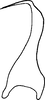 Stylus: !! display not done !! on Ileopeltus cyclops (Linnavuori, 1959): Stylus. (Observation).
