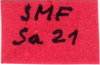 CollectionObject 1590028; 41e30de1-8d9a-43ab-a41d-597043c6d53b: label (allotype). (CollectionObject).
