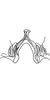 Connective on Bretega linnavuorii Stiller, 2017: Connective, dorsal view. (Observation).