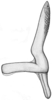 Stylus on Athysanella (Amphipyga) longicauda Beirne, 1955: from USA, Illinois; median view. (Observation).