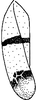 Forewing on Empoa (Empoa) gillettei Van Duzee, 1917: Forewing. (Observation).