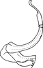 Aedeagus, lateral view on Empoascanara (Empoascanara) yaya Dworakowska, 1992: Aedeagus, lateral view. (Observation).