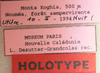 CollectionObject 1589499; 651f12bc-2123-4709-a04e-90765fbf35b2, MNHN-EO-CAELIF11362: labels (holotype). (CollectionObject).