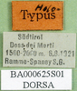 labels (holotype). Depicts CollectionObject 1500309; 7460c5a9-7f19-4cef-9318-f5698083ca7f, DORSA BA000625S01, a CollectionObject.