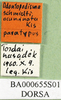 CollectionObject 1502209; 10d28bb5-09d2-409b-832f-ad06b7329575: labels (paratype). (CollectionObject).