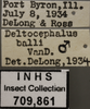 Other: !! display not done !! on Graminella balli (Van Duzee, 1916): Labels. Labels for the specimen used for the dorsal, lateral and face images. (Observation).