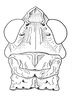 Atopotettix megalocephalus Brown, 1970: Fig. 40. male, head and pronotum, dorsal view. (Otu).