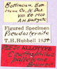 CollectionObject 1499665; 66324459-c62c-4b3d-9189-5b6f9d4450f5: labels. (CollectionObject).