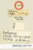 CollectionObject 1518364; cb83db56-2445-4f1c-aeb3-f20274554074: male, labels (holotype). (CollectionObject).