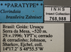 Other: !! display not done !! on Paraclorindaia brasileira (Zahniser, 2004): Labels. (Observation).
