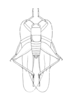 Rehniella glaphyra Hebard, 1928: Plate V. Fig. 2. Male. Whole insect. Dorsal outline of type. (Otu).